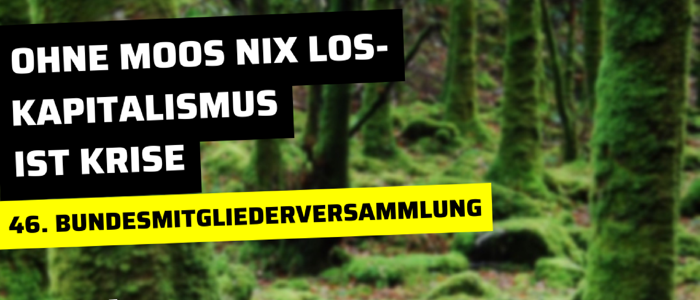 Einladung zur 46. BMV