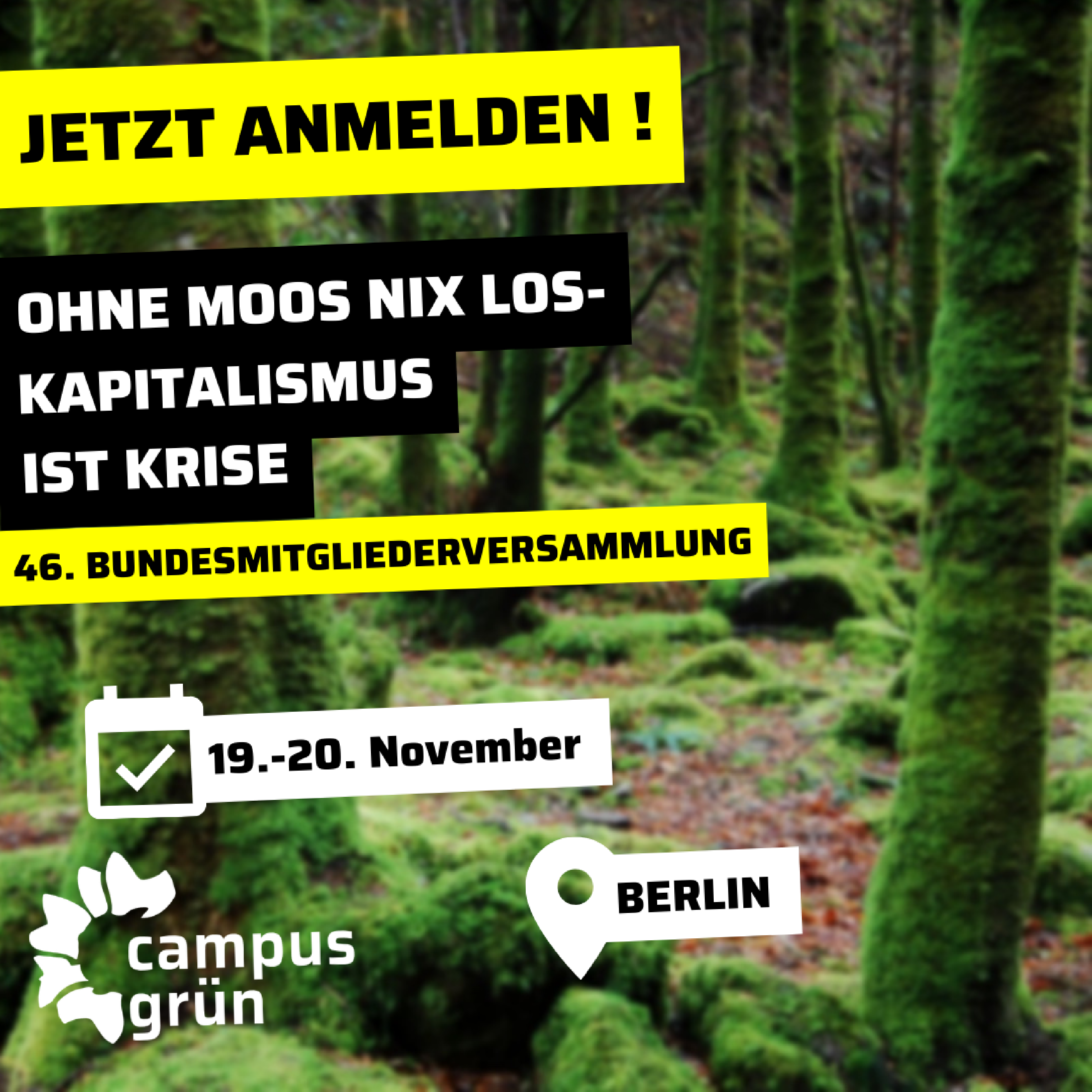 Einladung zur 46. BMV